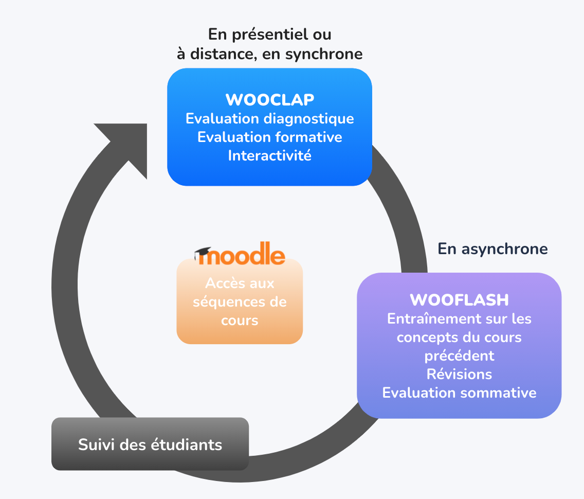 moodle, wooclap et wooflash complémentaires